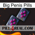 Big Penis Pills 01